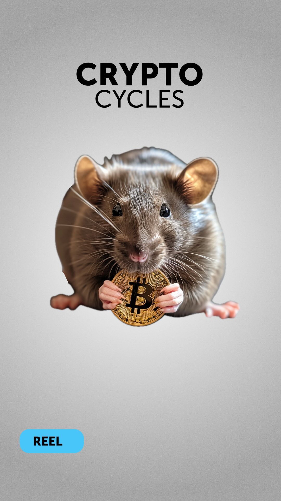 We’re still at the beginning of a new crypto market cycle. That means now is still an excellent time to enter the market.
Make sure you’re following @coinsauce so you know when you need to get out